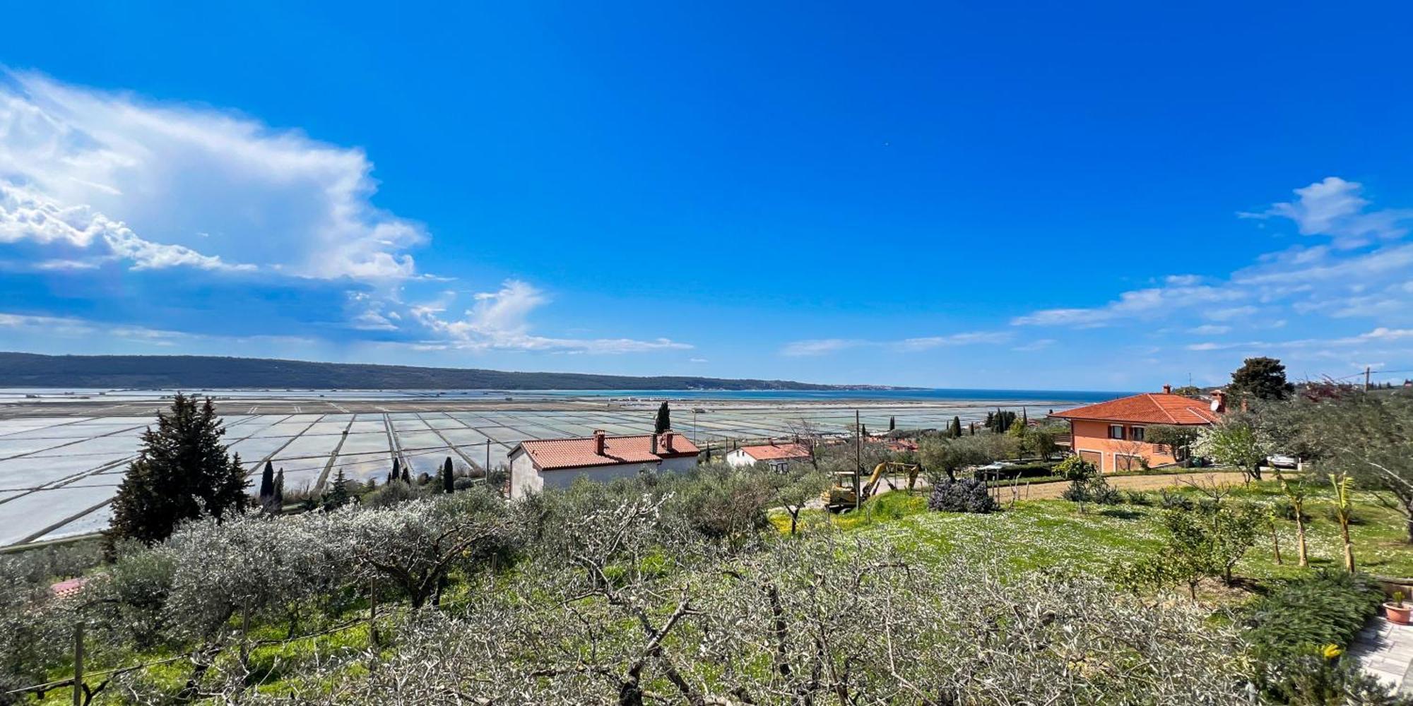 Blue Horizon Apartments Seca Порторож Экстерьер фото